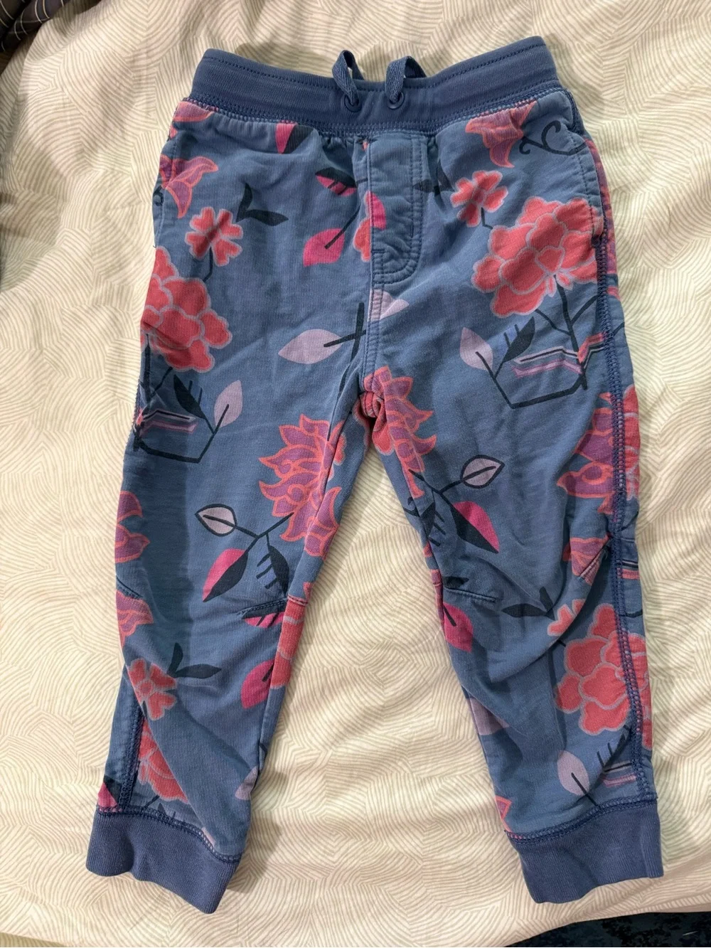 Kids size 3 Tea Collection Blue Floral Hooded Jacket and Joggers Set